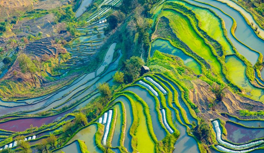 宝妈必备神器：崇州市产品视频拍摄轻松育儿好帮手
